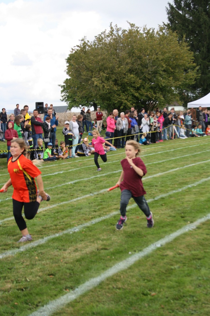 Bild 1 (141)